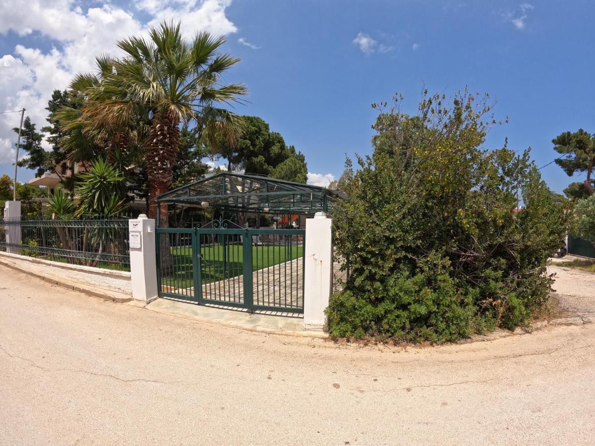 ארטמידה Hector Villa Airport By Airstay מראה חיצוני תמונה